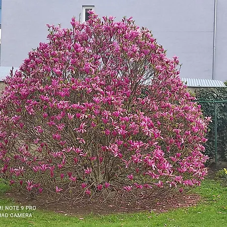 Ring Gaestehaus Δωμάτια σε οικογενειακή κατοικία *