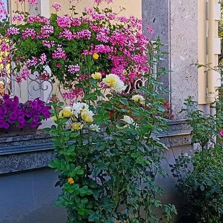 Ring Gaestehaus منزل للإقامة زيلتويج