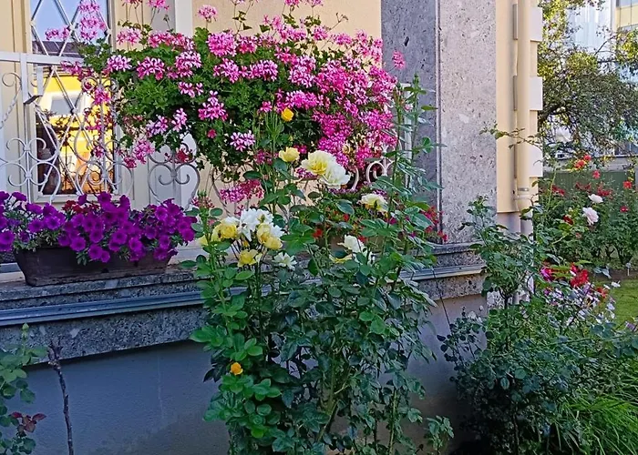 Ring Gaestehaus 홈스테이 첼트베크