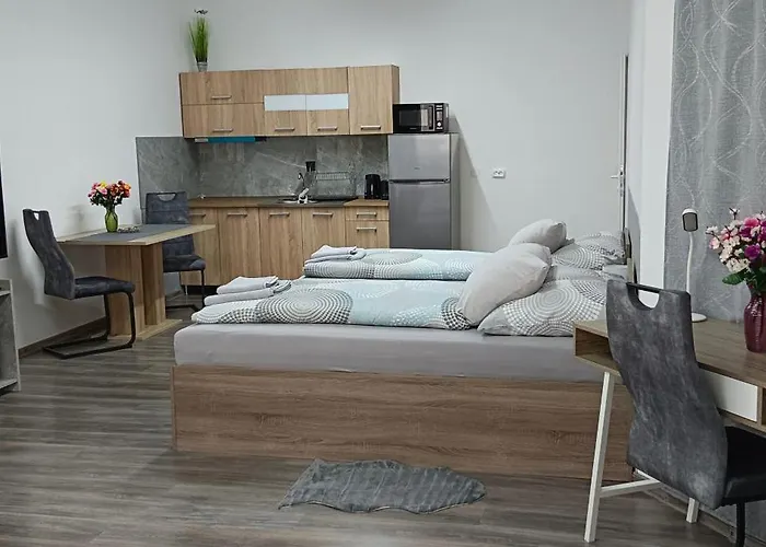 홈스테이 Ring Gaestehaus *